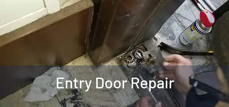 Entry Door Repair